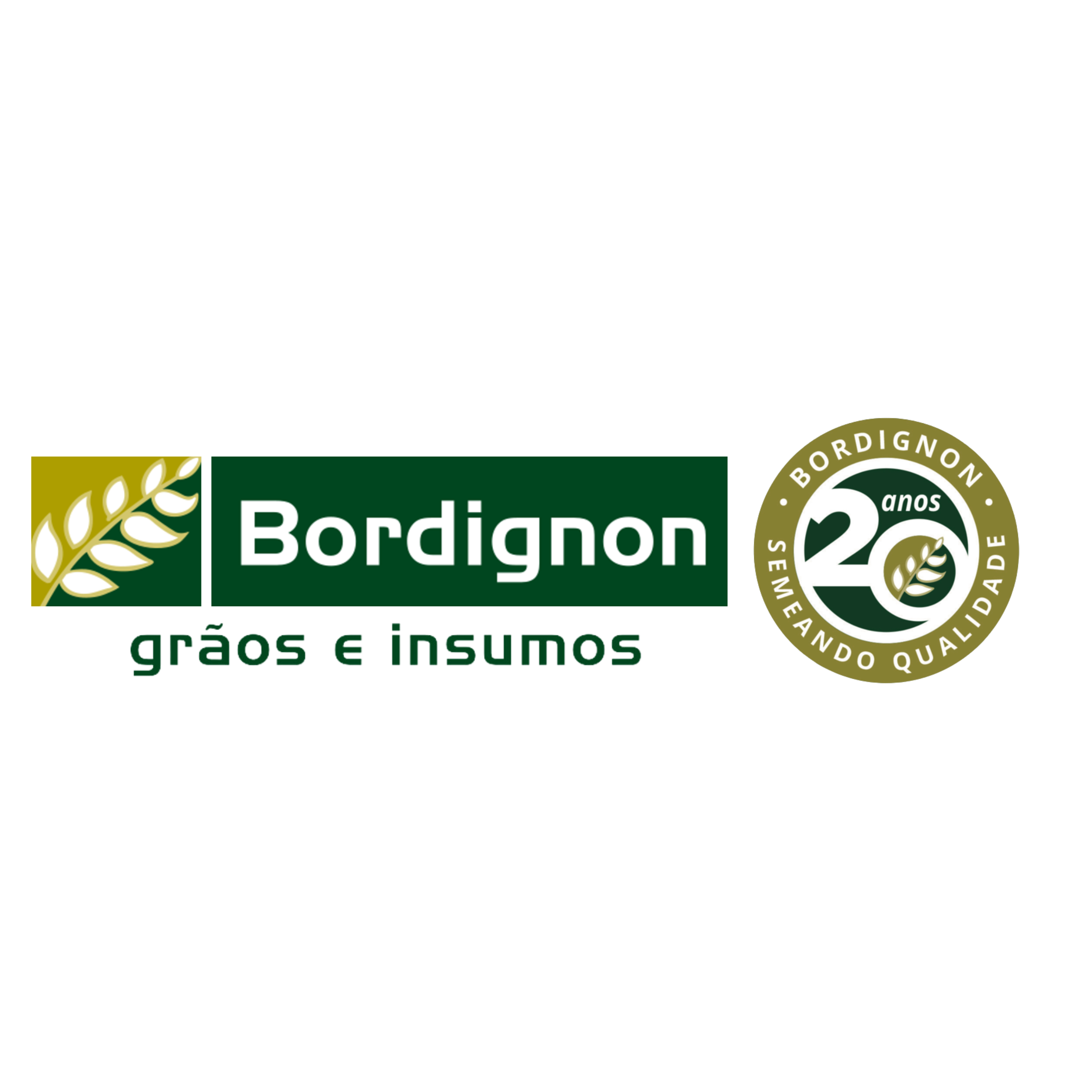 logo-bordignon-atualizada-2023